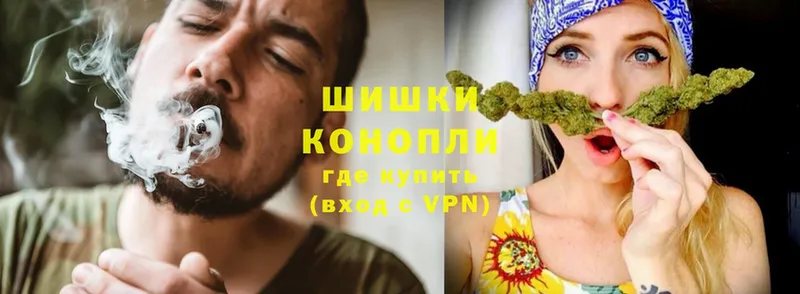 как найти   Фролово  Шишки марихуана Ganja 